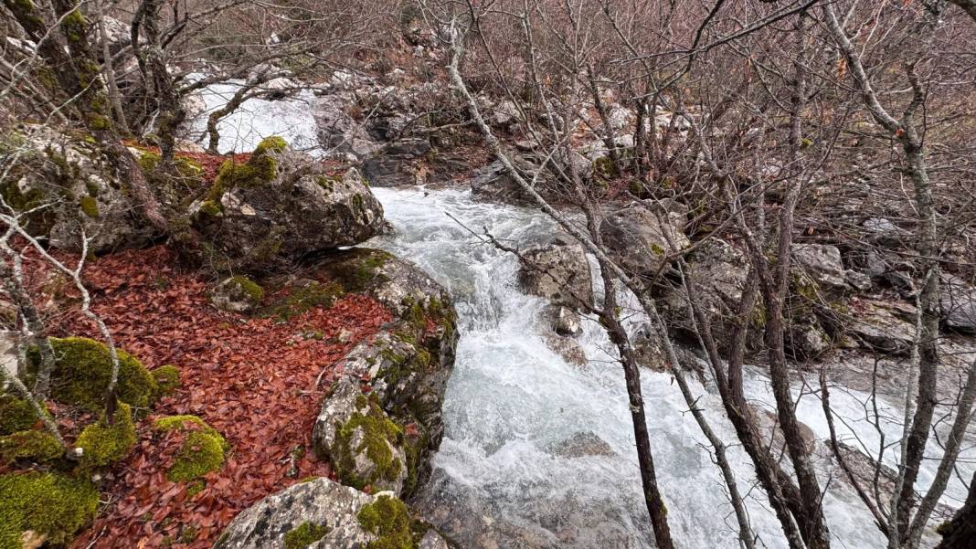 Konya’nın bereket sevinci yaşanan ilçesinde dere coştu 7